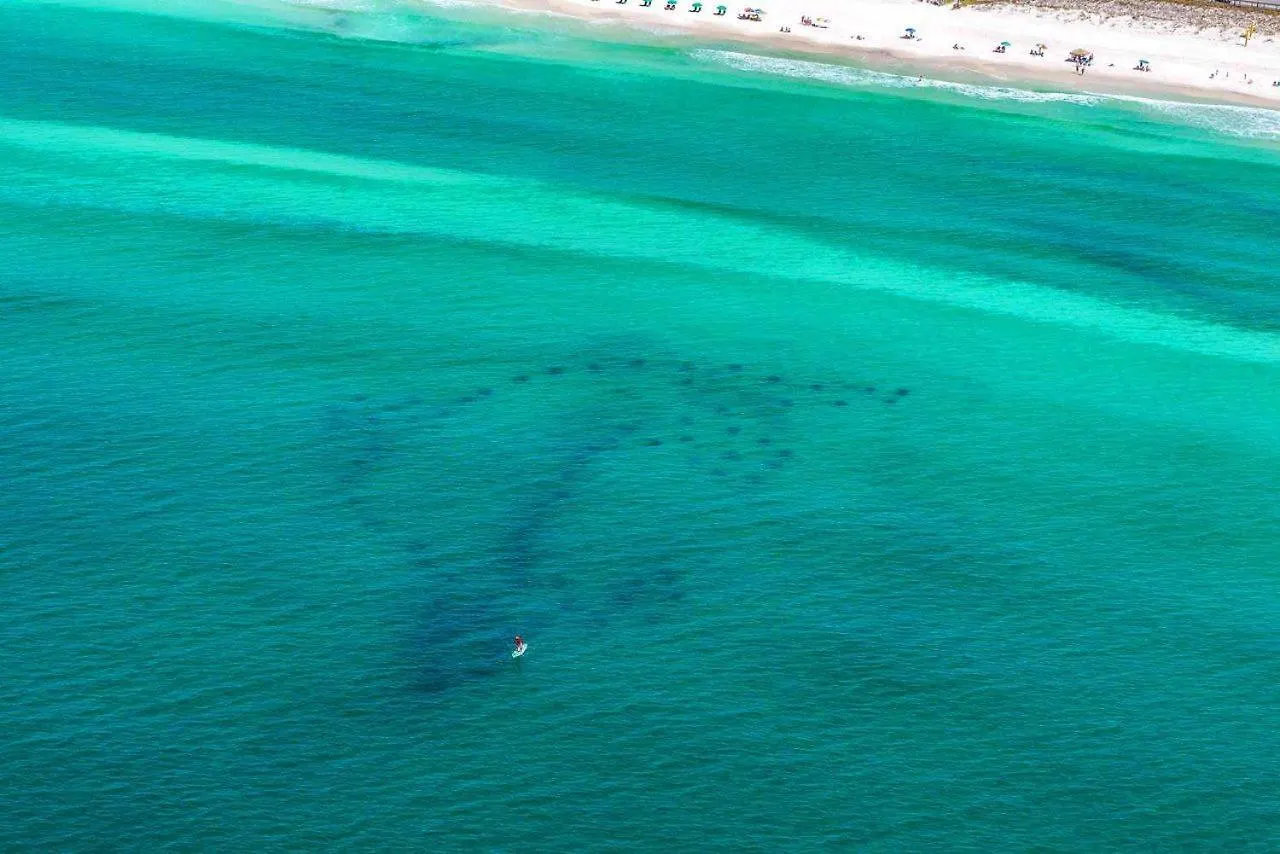 Villa Stella Di Mare à Destin 0*,
